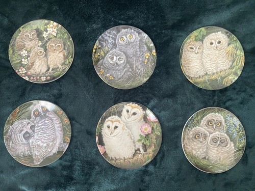 Wedgwood the baby owls dick - wedgwood,