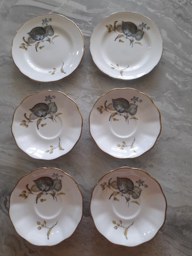 Bone china montrose regency - bone,
