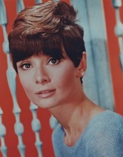 Hollywood Audrey Hepburn