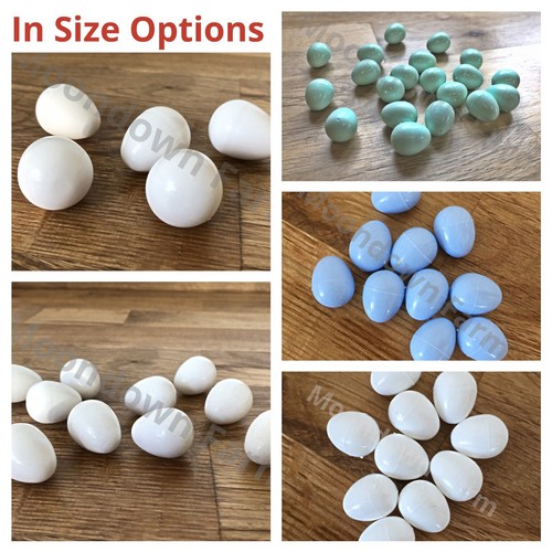 Dummy eggs for canary - dummy,