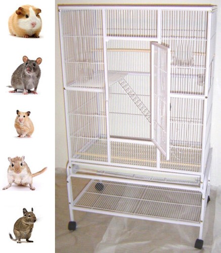 Large levels ferret - x-large, 4-levels