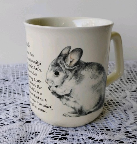 Animal prints the chinchilla - prints, 'the