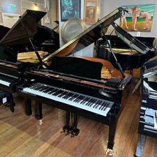 Yamaha conservatory baby - conservatory,