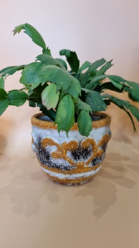 Mid century italian small - mid,