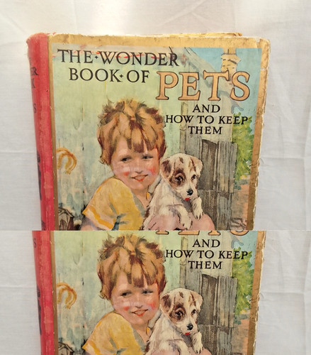 Antique copy the - of, wonder
