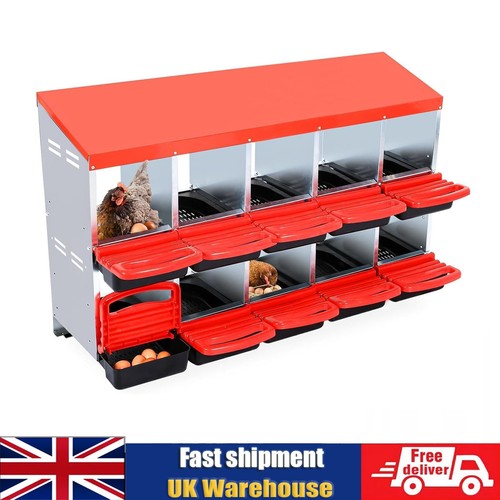 Compartment eggs laying - 10,