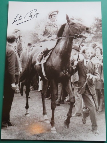 Lester piggott signed - piggott, horse