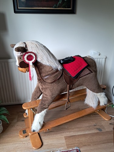 Rocking horse - rocking,