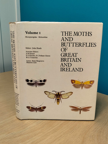 Moths and butterflies great - and,