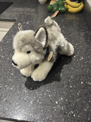 Keel toys storm husky - husky, puppy