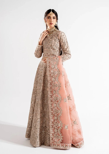 Wedding party wear - party, pakistani
