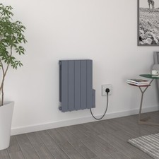 Oil Filled 900W Electric