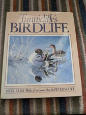 Tunnicliffe bird life - bird,