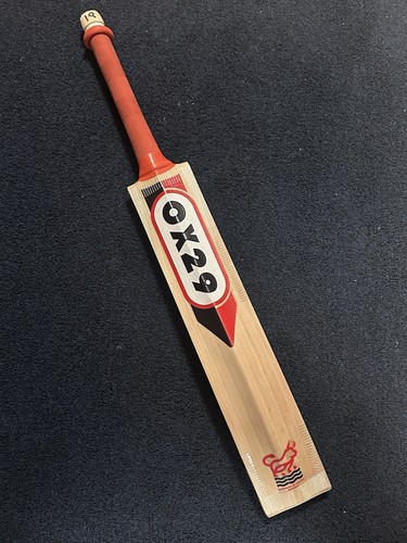 Vulcan pro cricket - vulcan, bat