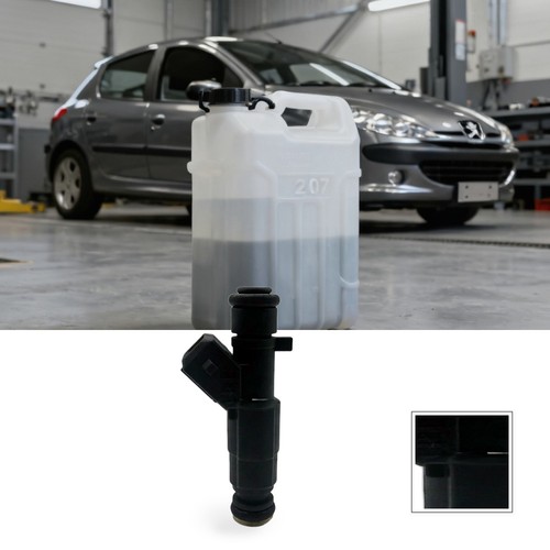 Fuel injector suitable for - fuel,