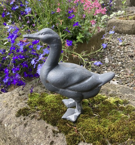 Small metal cast iron duck - small,