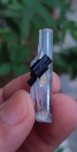 Aquamarine with black - aquamarine,