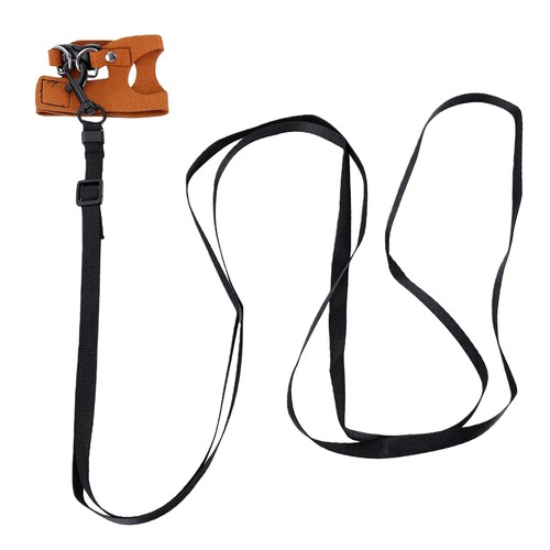 Bearded dragon harness set - bearded,