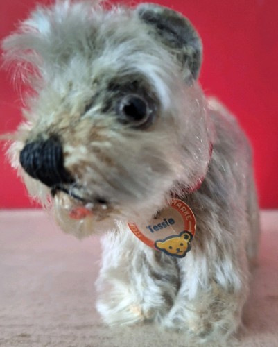 Steiff tessie miniature - tessie,
