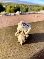 Fossil Netsuke - Skull with