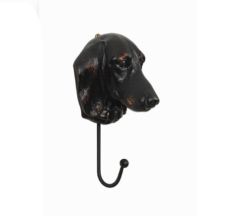 Black dachshund dog - black, head