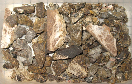 Jurassic morrison formation - morrison,