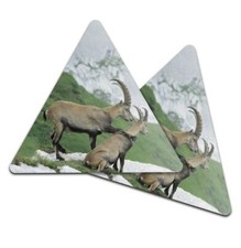 2x Triangle Coaster - Alpine