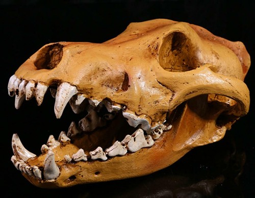 Fake realistic animal - fake,