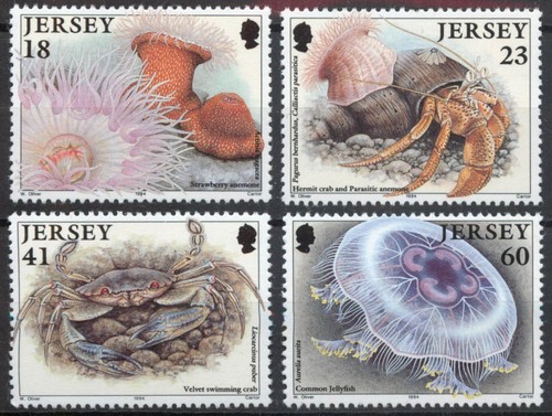 Jersey 1994 marine life - jersey, 2nd