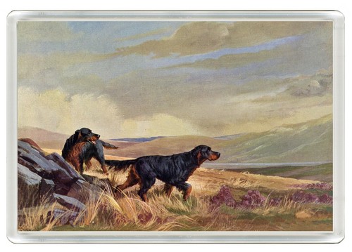 Gordon setter dog fridge - dog,