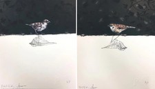 Charming Baker Love Birds I