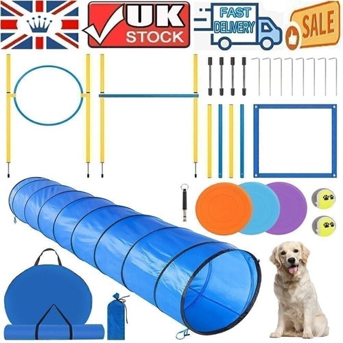 300cm dog agility - dog, equipment
