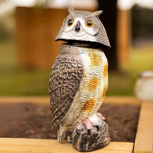 Large owl bird scarer - bird,