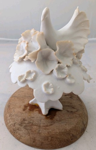 Chessell pottery dove and - chessell,