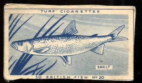 Tobacco card carreras - tobacco, carreras,
