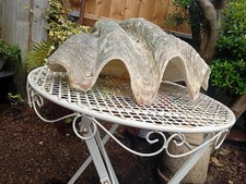 Huge 21" Antique Natural Giant