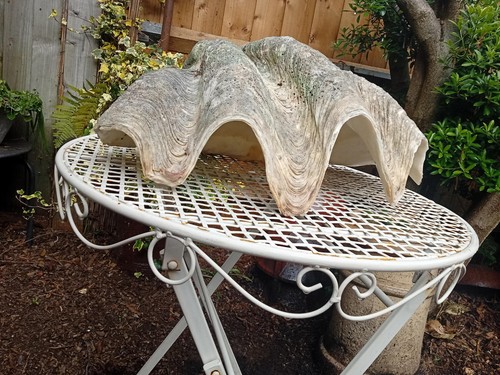 Huge antique natural - huge,