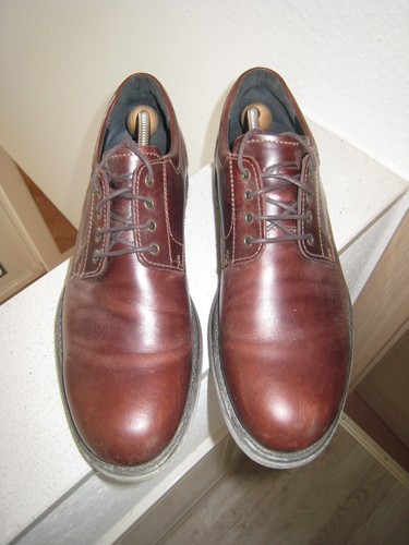 Camel active brown men's