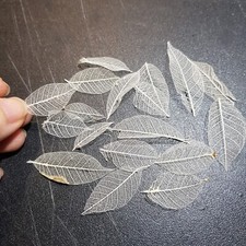 20 Small 1-2" Natural Real skeleton leaves ** 2nd ** NOT BRITTLE Mould Jewellery