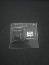SanDisk 256GB High Endurance
