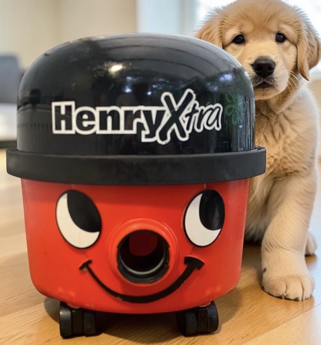 Henry hoover vac serviced new - serviced,