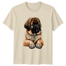 Leonberger Puppy Dogs Animals