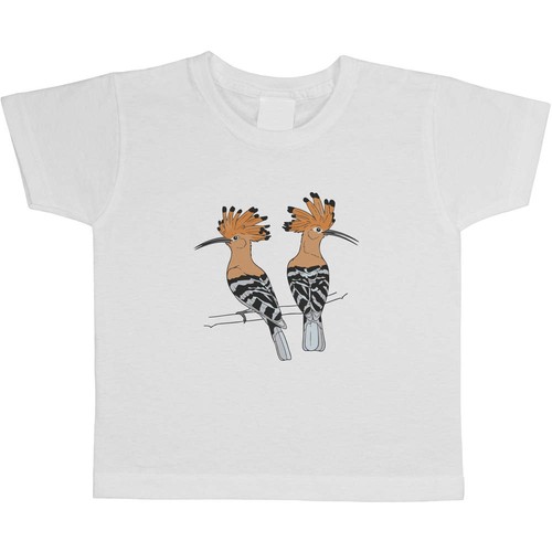 Couple hoopoe birds - 'couple,