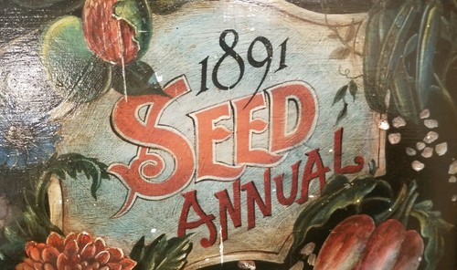 Vintage 1891 seed annual - seed,