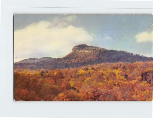 Postcard the indian head - indian,
