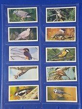 Carreras Black Cat Cigarette Card BRITISH BIRDS (1976) Set of 50 in sleeves