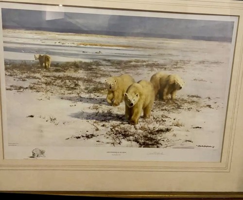David shepherd limited edition - shepherd,