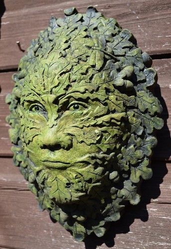 Oak acorn green man wall - acorn,