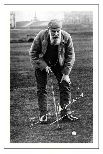 Old tom morris signed - old,