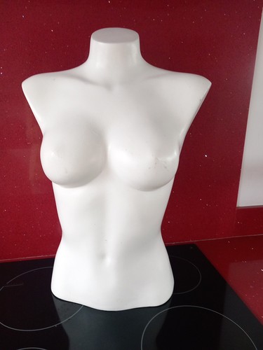 Vintage female body torso - female,
